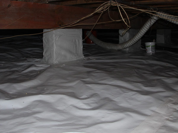 Inside a sealed crawlspace and organized