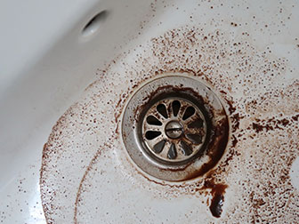 sink with a plumbing issue that caused the drain to backup