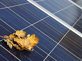 solar panel needing fall maintenance