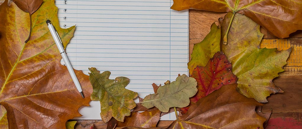 notepad with pen and leaves